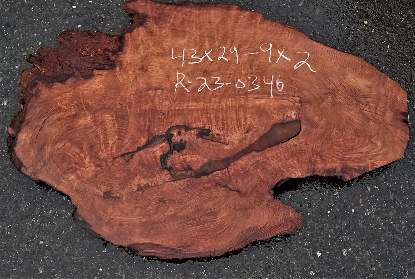 Redwood burl slab | live edge | DIY | river table | headboard | r23-0346