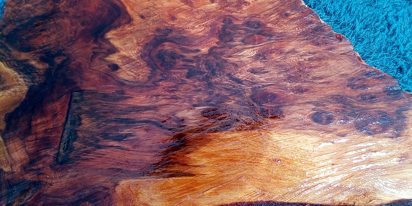 redwood burl | live edge | DIY wood | craft woods | r23-0489