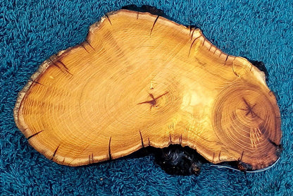 Mulberry slab | live edge | river table | DIY crafts | burl clock | ma23-0579