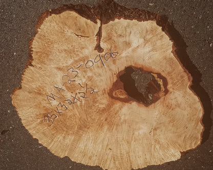 Maple burl | cookie cut | craft woods | river table | r23-0869