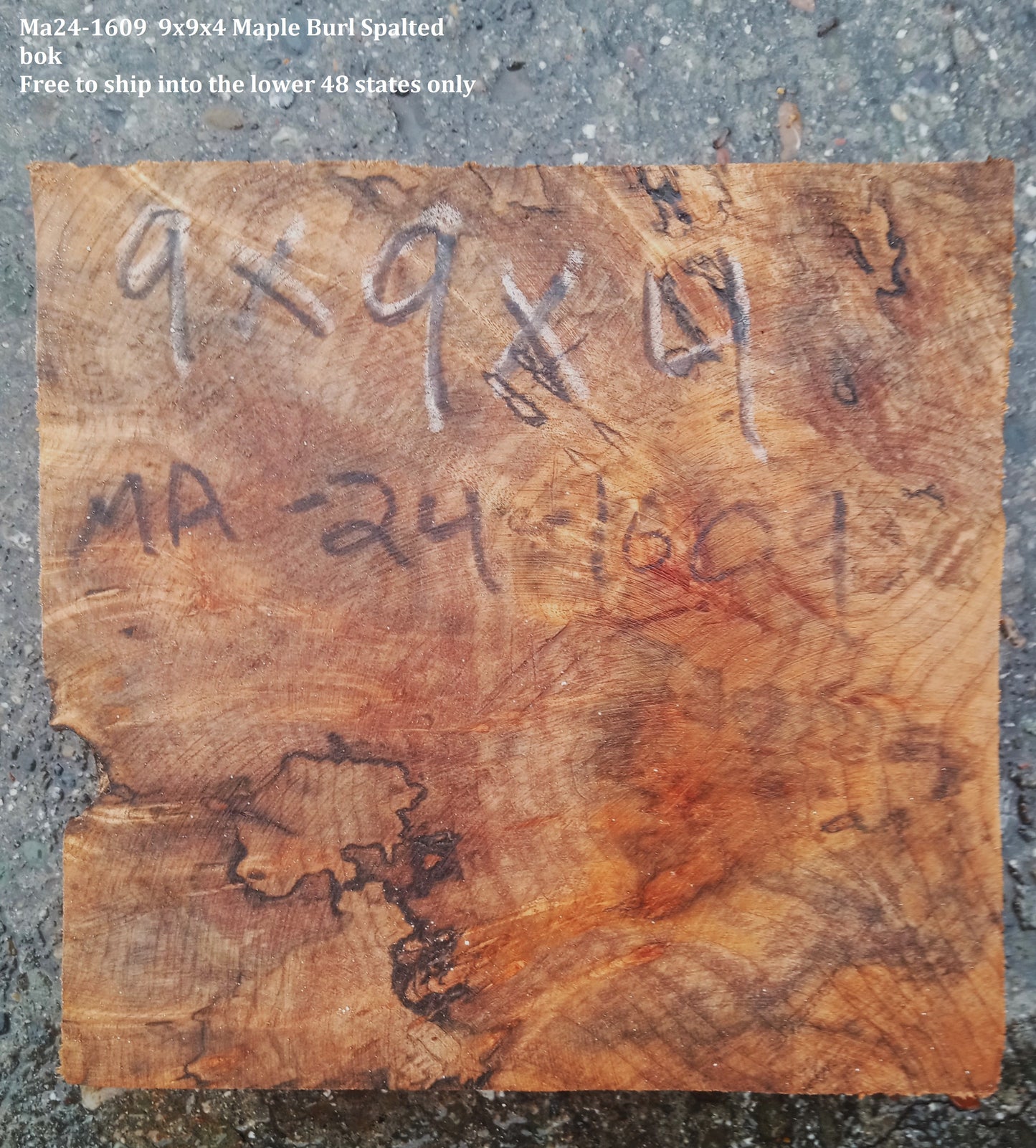 Spalted Maple Turning Block | Burl Block | DIY Craft Wood | Bowl Turning | Ma24-1609