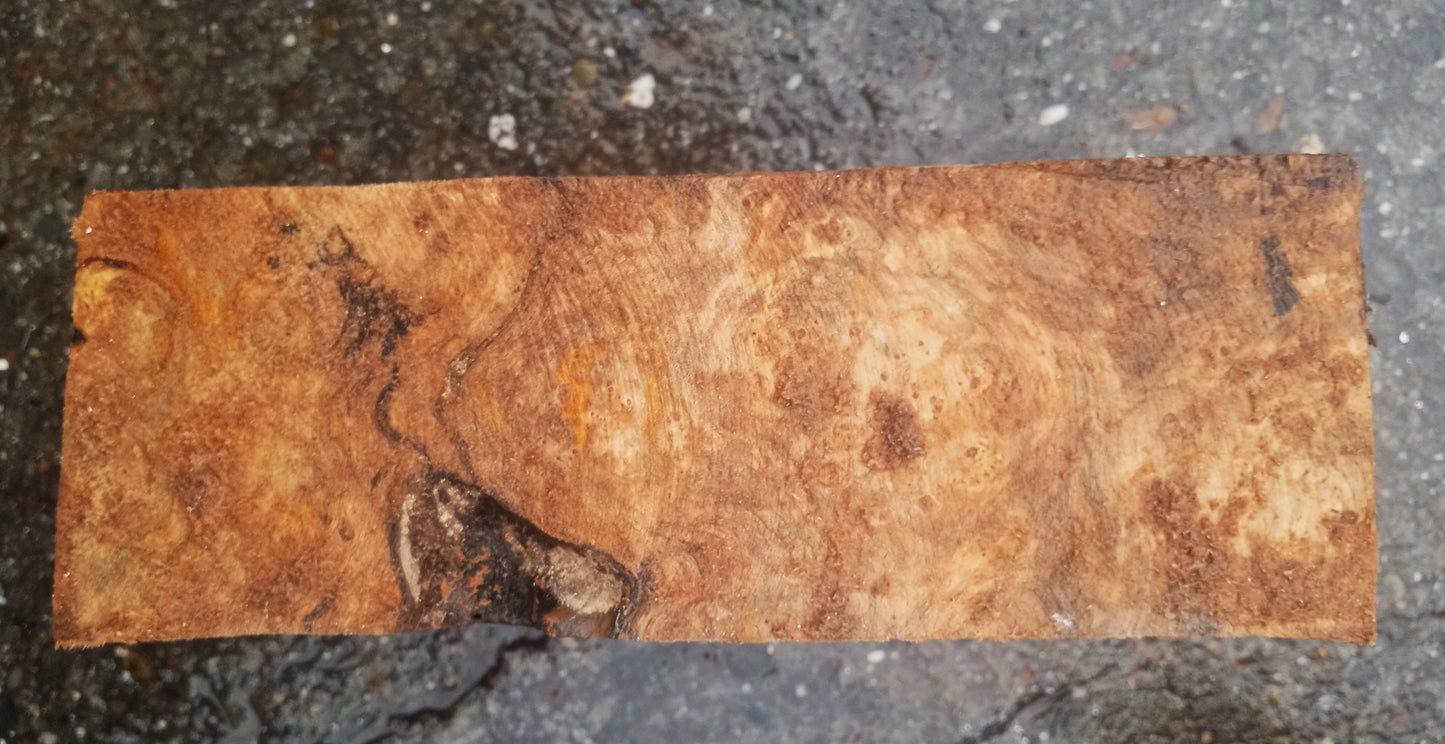 Spalted Maple Turning Block | Burl Block | DIY Craft Wood | Bowl Turning | Ma24-1609