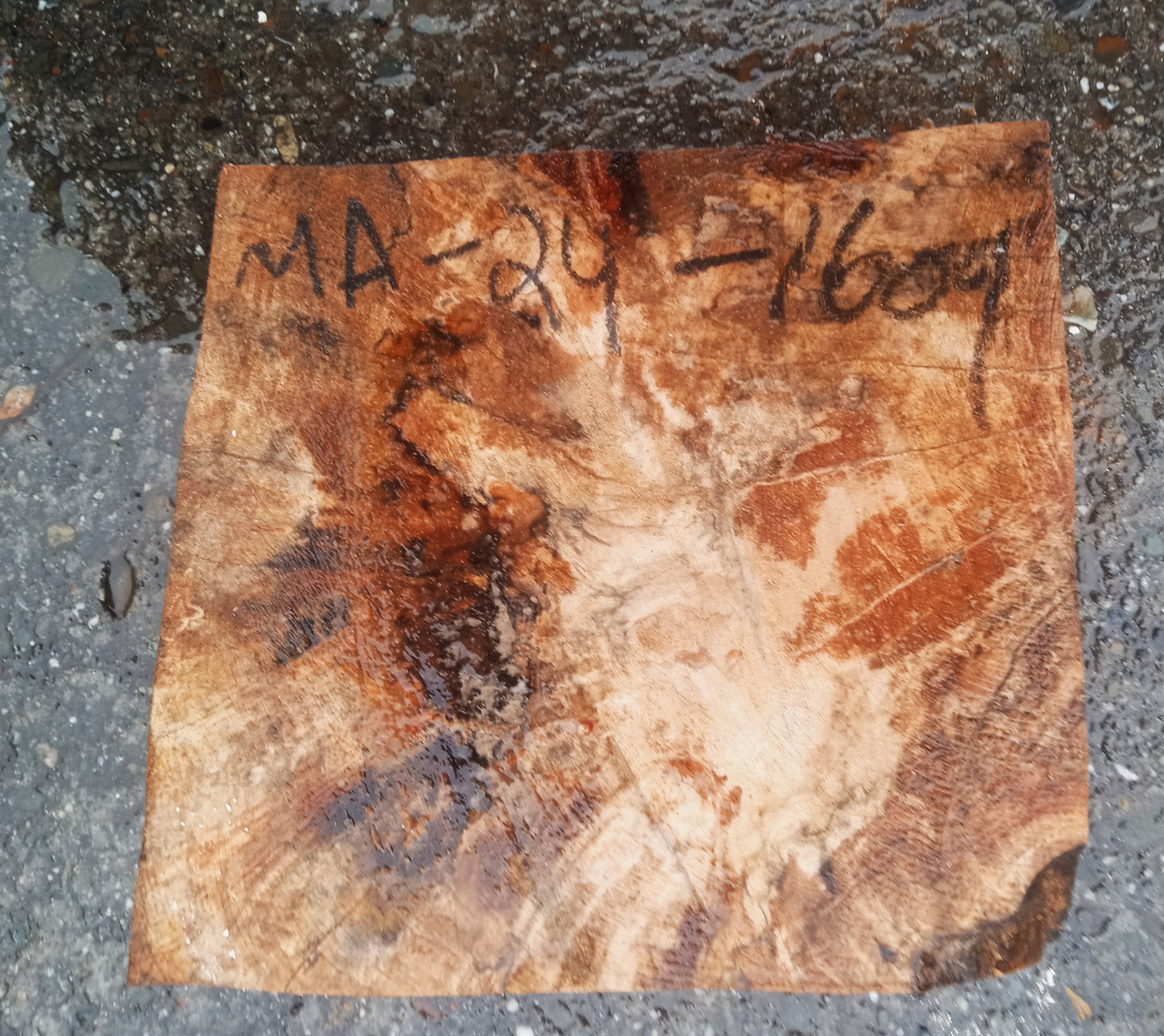 Spalted Maple Turning Block | Burl Block | DIY Craft Wood | Bowl Turning | Ma24-1609