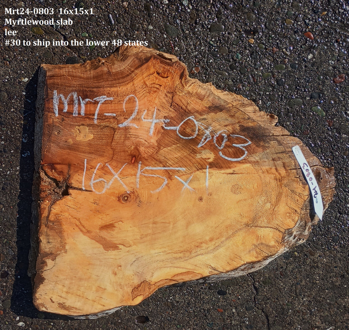 Myrtle Wood | Exotic Wood | Spalted | DIY Wood Crafts | Mrt24-0803