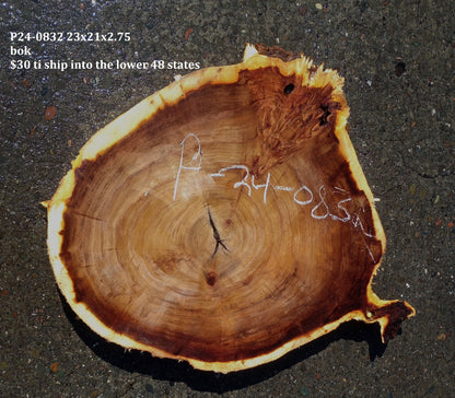 Poplar Slab | Cookie Cut | Craft Woods | DIY | River Table | P24-0832