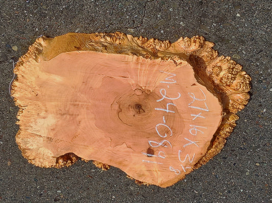 Maple Burl Slab | Cookie Cut | Craft Woods | DIY | River Table | MA24-0891