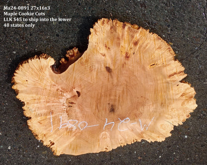 Maple Burl Slab | Cookie Cut | Craft Woods | DIY | River Table | MA24-0891