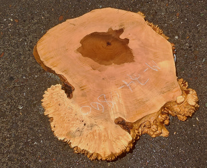 Maple Burl Slab | Cookie Cut | Craft Woods | DIY | River Table | MA24-0860