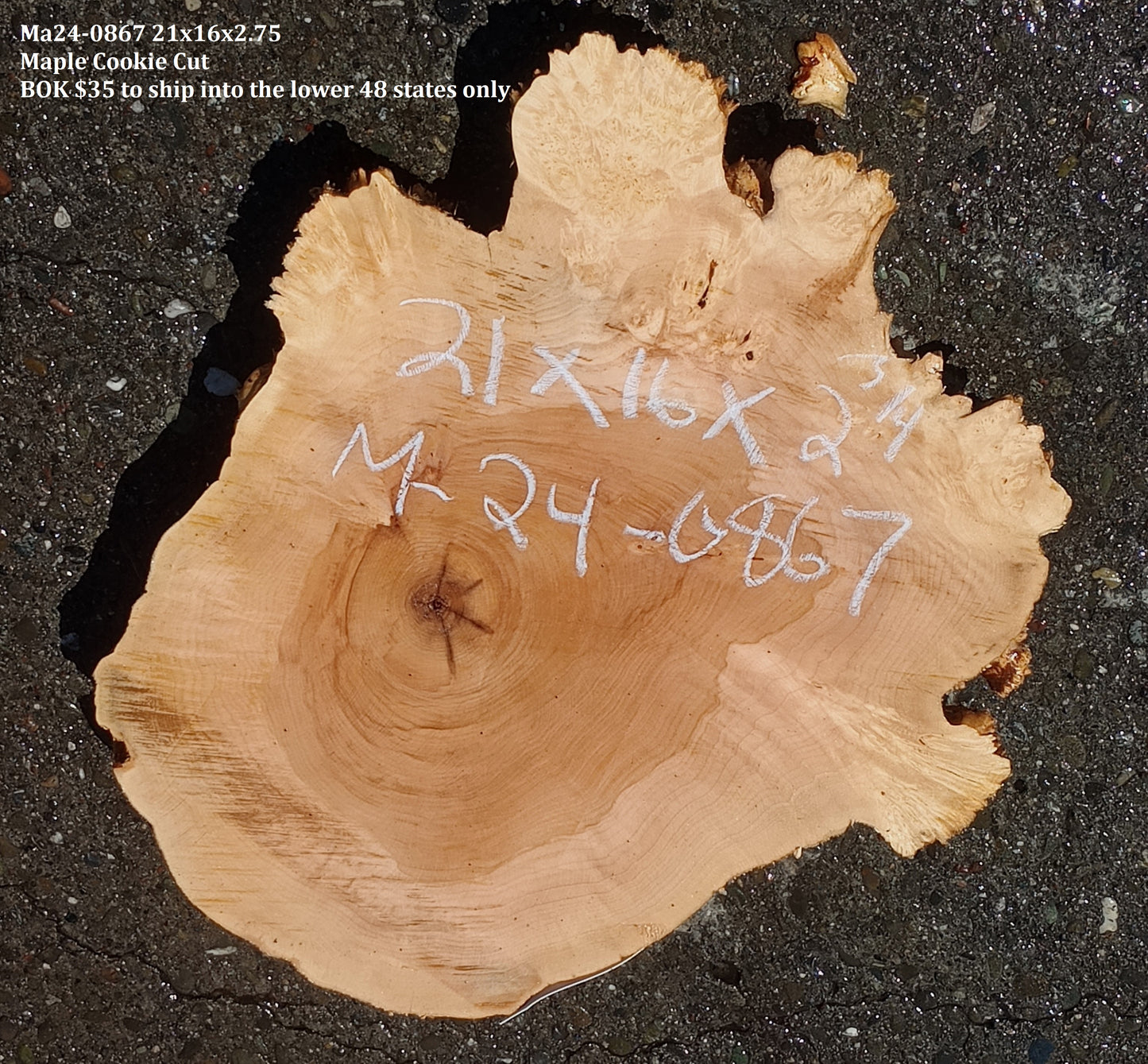 Maple Burl Slab | Cookie Cut | Craft Woods | DIY | River Table | MA24-0867