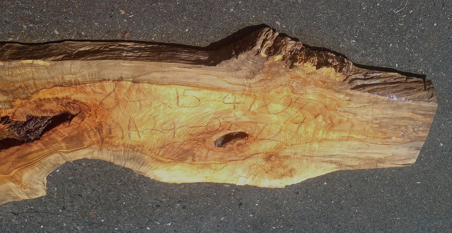 Spalted Maple Slab | Table | Live Edge | Headboard | DIY |  MA24-0872