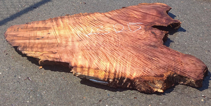 Curly Redwood slab | rustic table | wall art | headboard |r23-1215