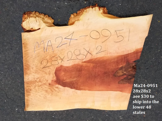 Maple Burl Slab | Burl | Craft Woods | DIY | Epoxy Idea| MA24-0951