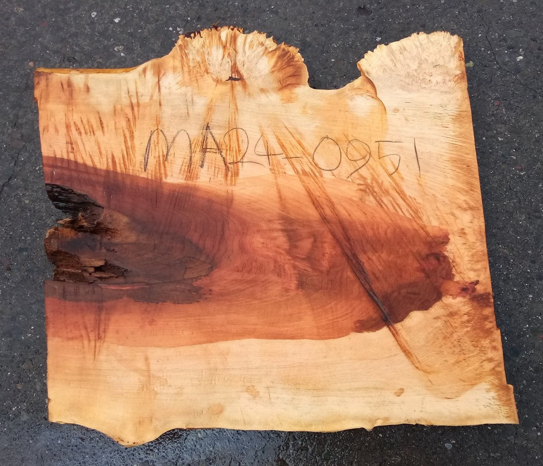 Maple Burl Slab | Burl | Craft Woods | DIY | Epoxy Idea| MA24-0951