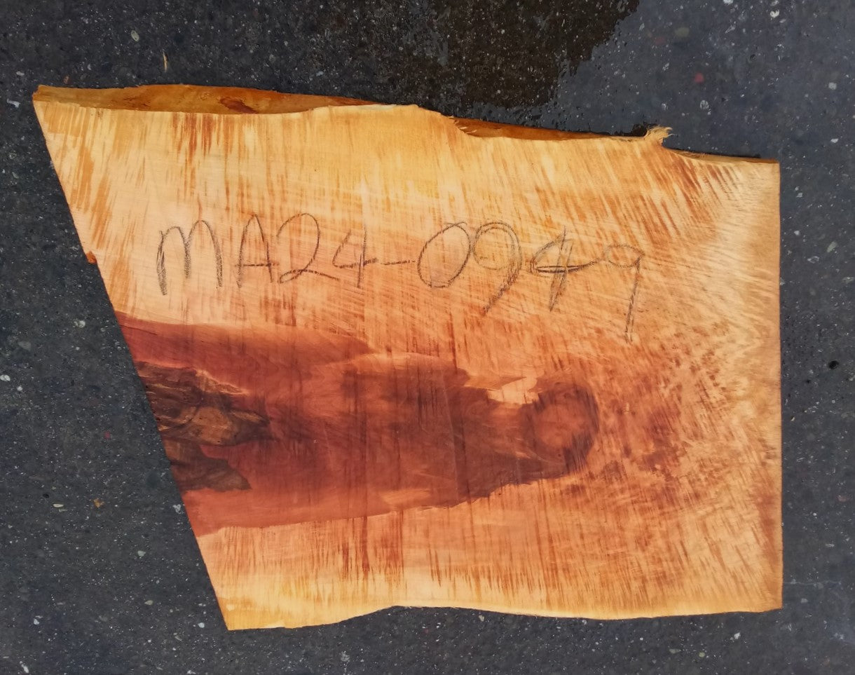 Maple Burl Slab | Burl | Craft Woods | DIY | Epoxy Idea| Ma24-0949