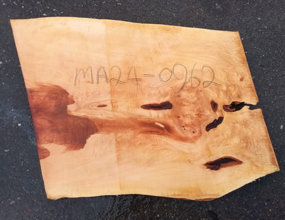 Maple Burl Slab | Burl | Craft Woods | DIY | Epoxy Idea| MA24-0962