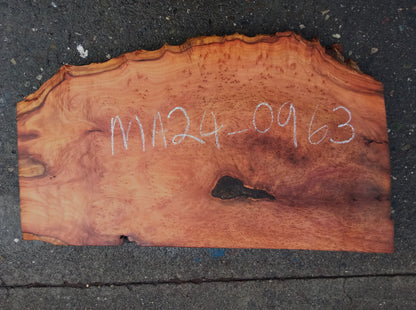 Redwood Guitar Slab| Craft wood | Burl | Redwood | G24-0936