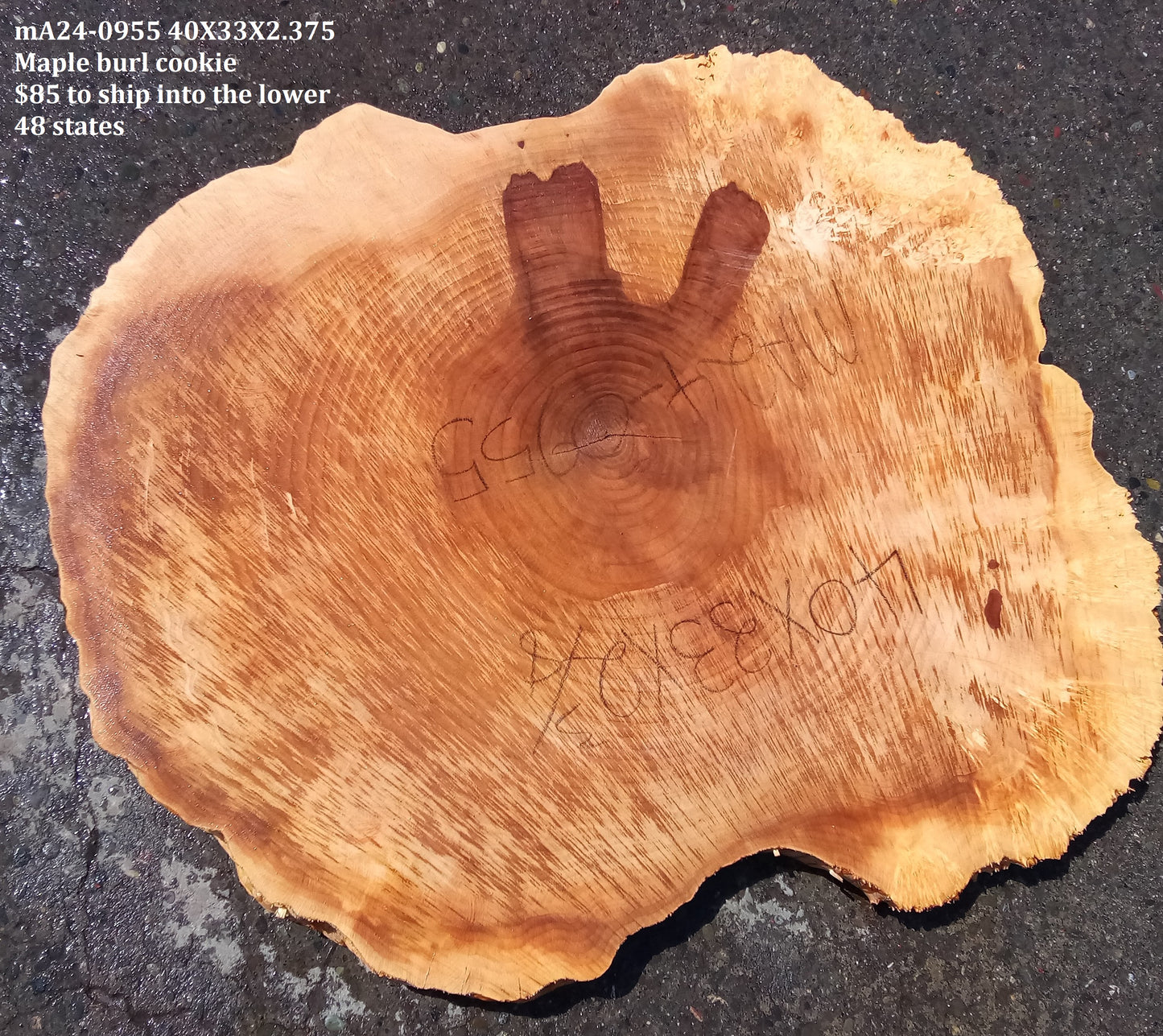 Maple Burl Slab | Cookie Cut | Craft Woods | DIY | River Table | MA24-0955