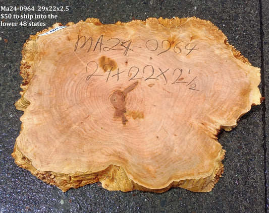 Maple Burl Slab | Cookie Cut | Craft Woods | DIY | River Table | MA24-0964