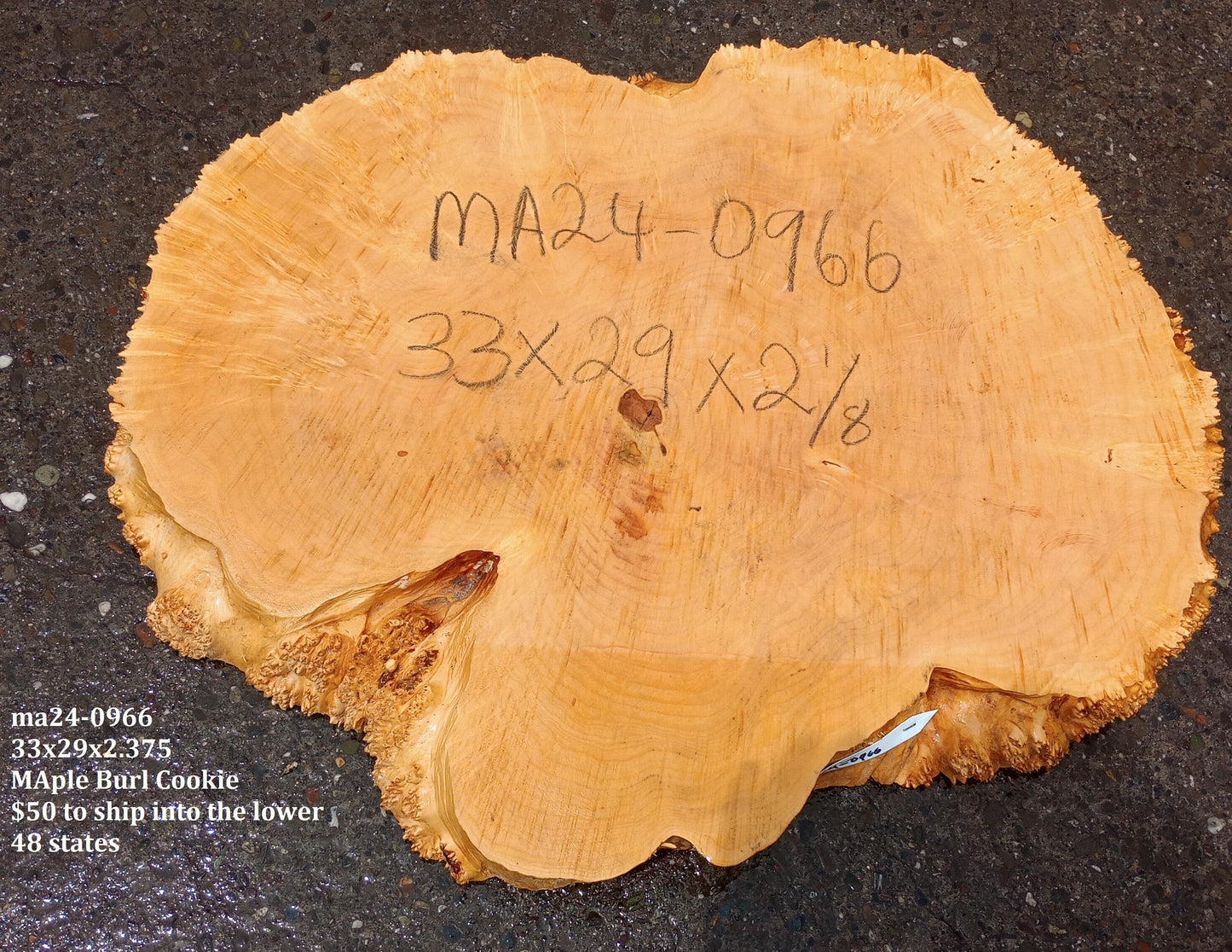 Maple Burl Slab | Cookie Cut | Craft Woods | DIY | River Table | MA24-0966