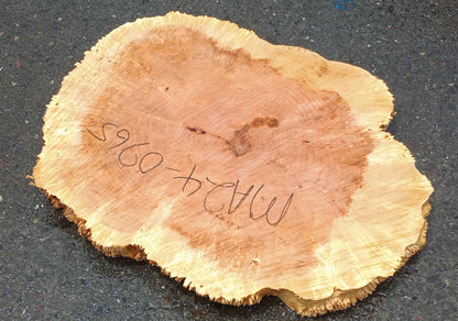 Maple Burl Slab | Cookie Cut | Craft Woods | DIY | River Table | MA24-0965