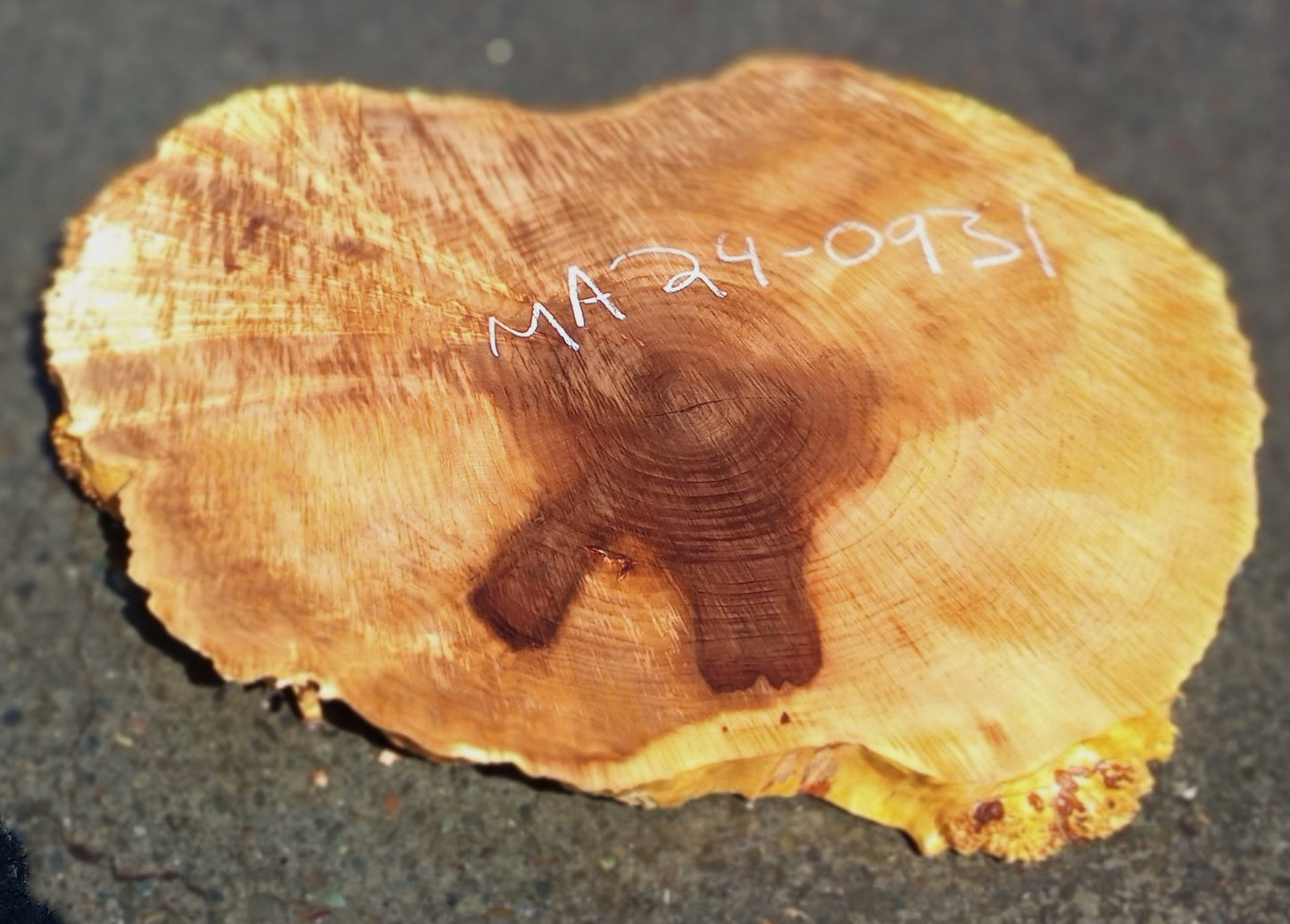 Maple Burl Slab | Cookie Cut | Craft Woods | DIY | River Table | MA24-0931