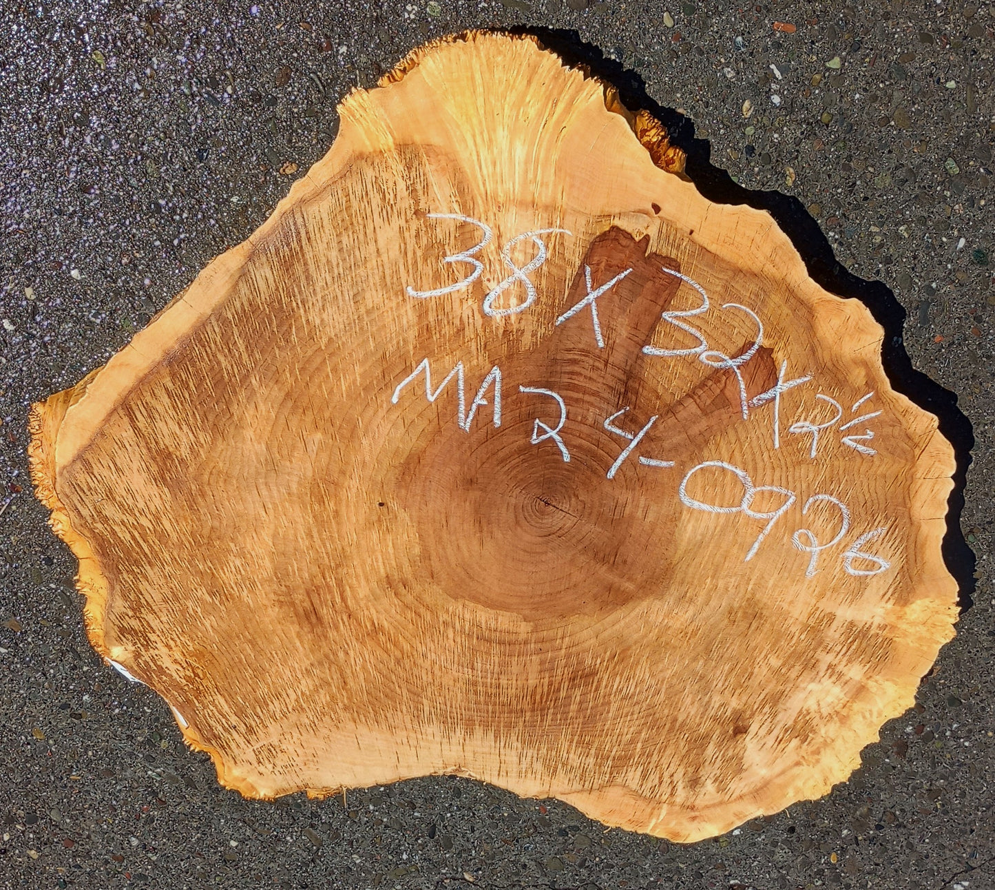 Maple Burl Slab | Cookie Cut | Craft Woods | DIY | River Table | MA24-0926