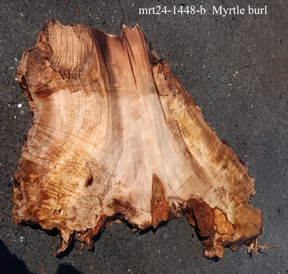 Myrtle Burl Slab |  DIY Crafts | Epoxy Idea | MRT24-1448