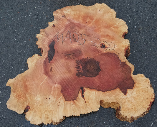 Maple Burl Slab | Craft Wood | DIY | Cookie Cut | Ma24-2072