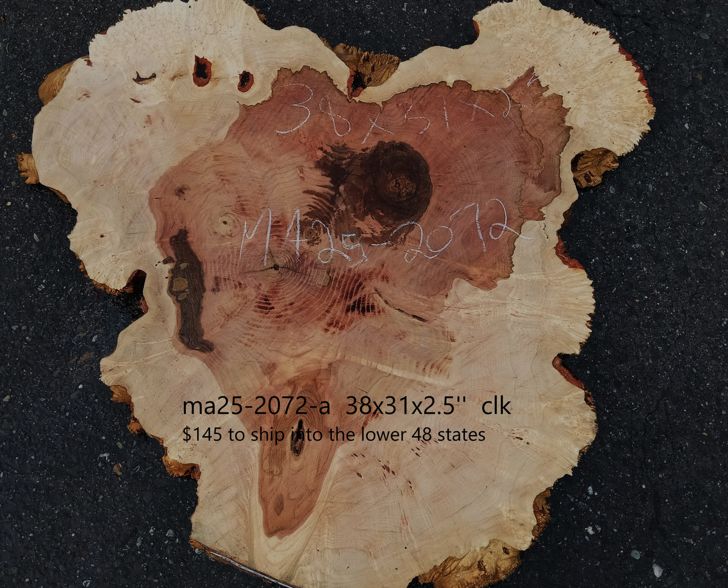 Maple Burl Slab | Craft Wood | DIY | Cookie Cut | Ma24-2072