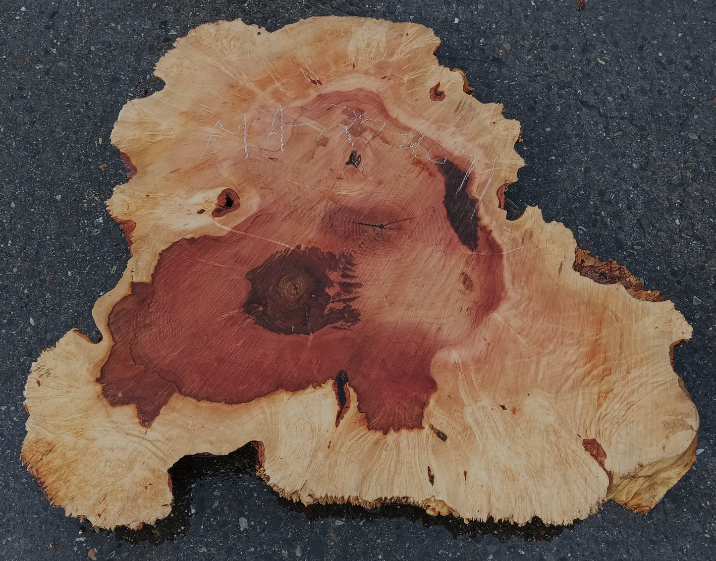 Maple Burl Slab | Craft Wood | DIY | Cookie Cut | Ma24-2071