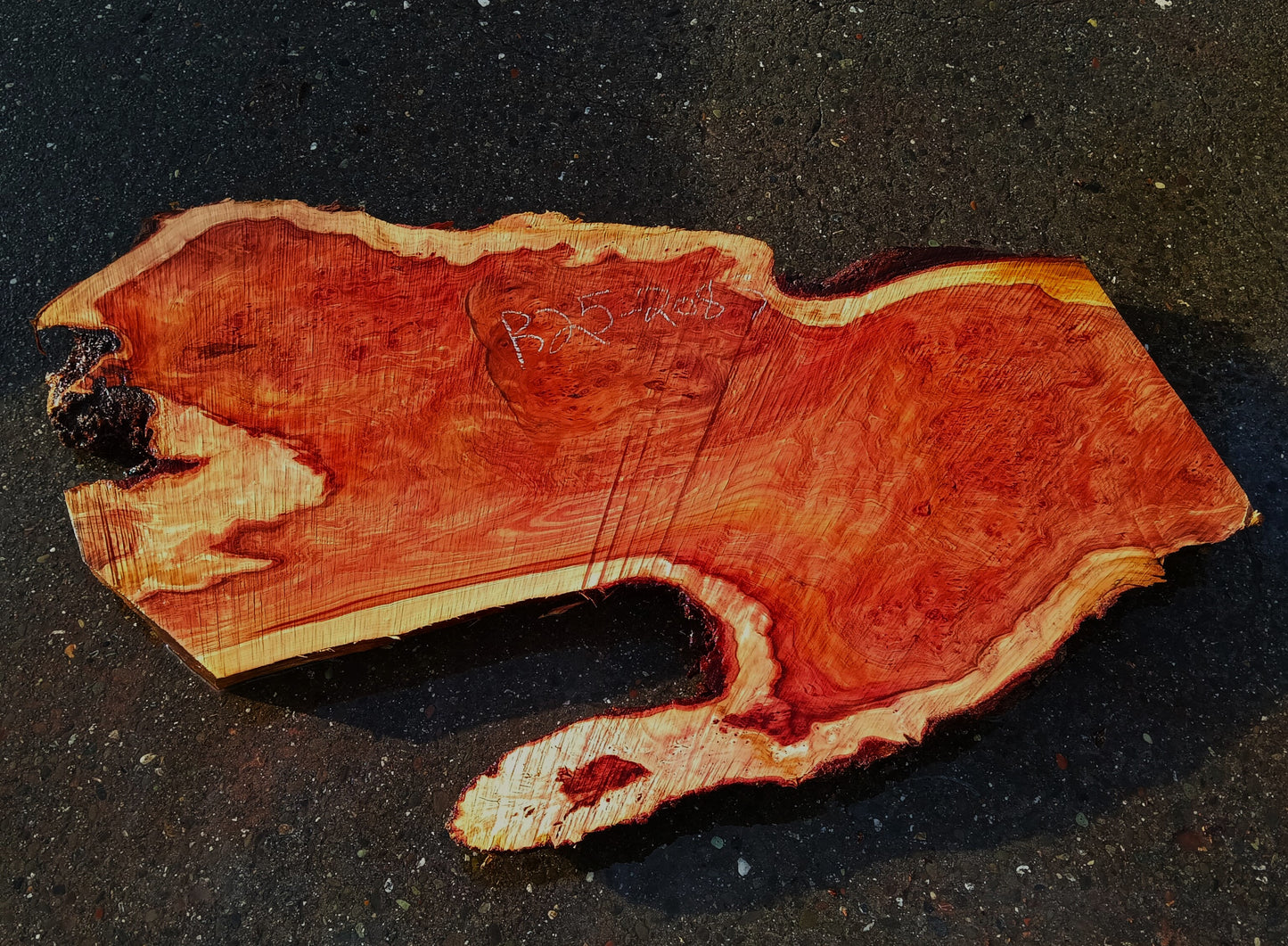 Redwood Lace Burl Slab | River Table |Art | DIY Crafts | R25-2083