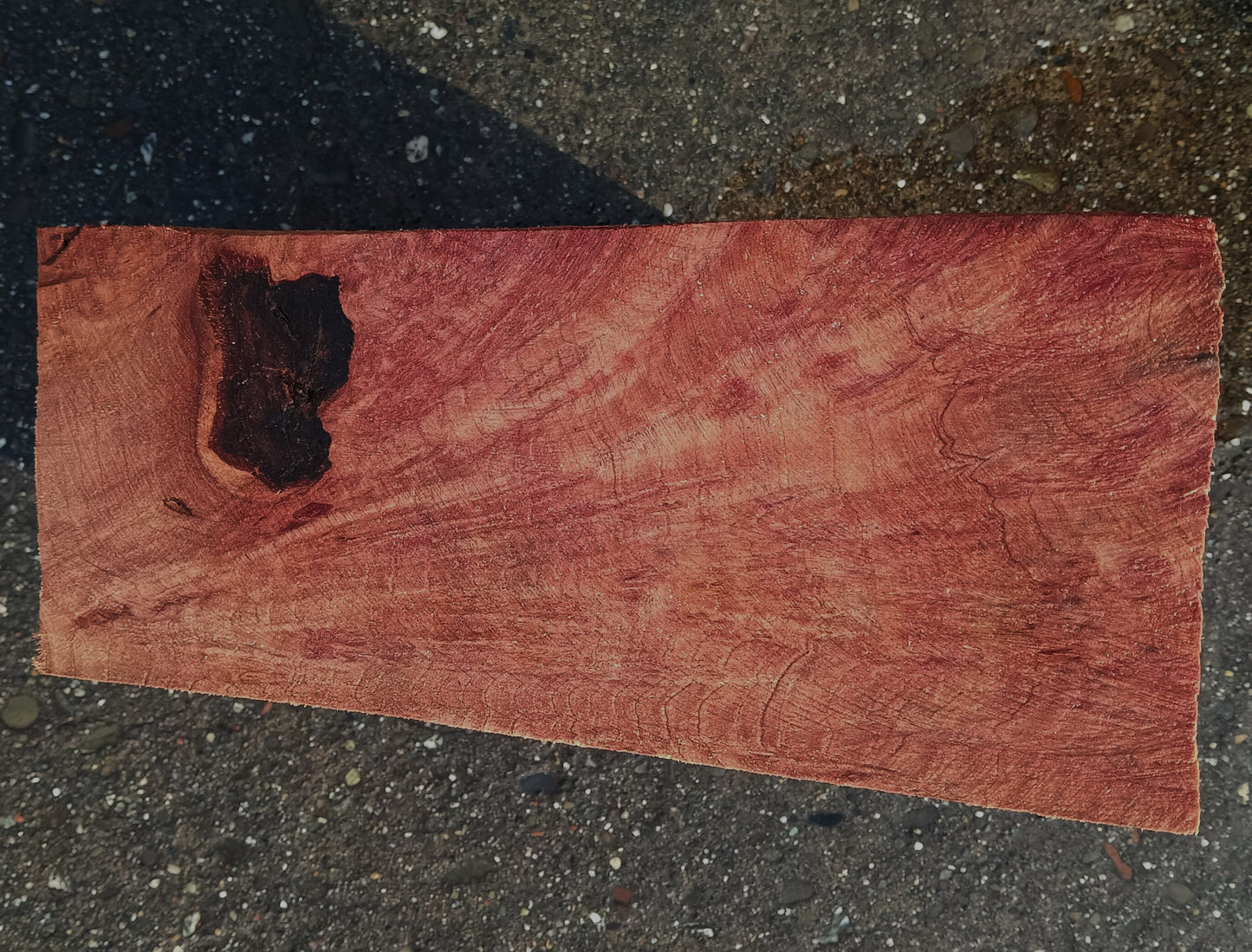 Redwood Lace Burl | Turning block | Craft Wood | R25-2078