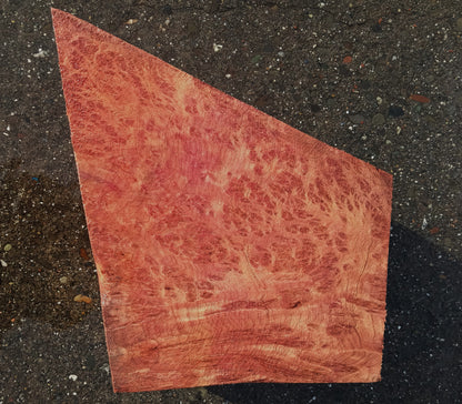 Redwood Lace Burl | Turning block | Craft Wood | R25-2078