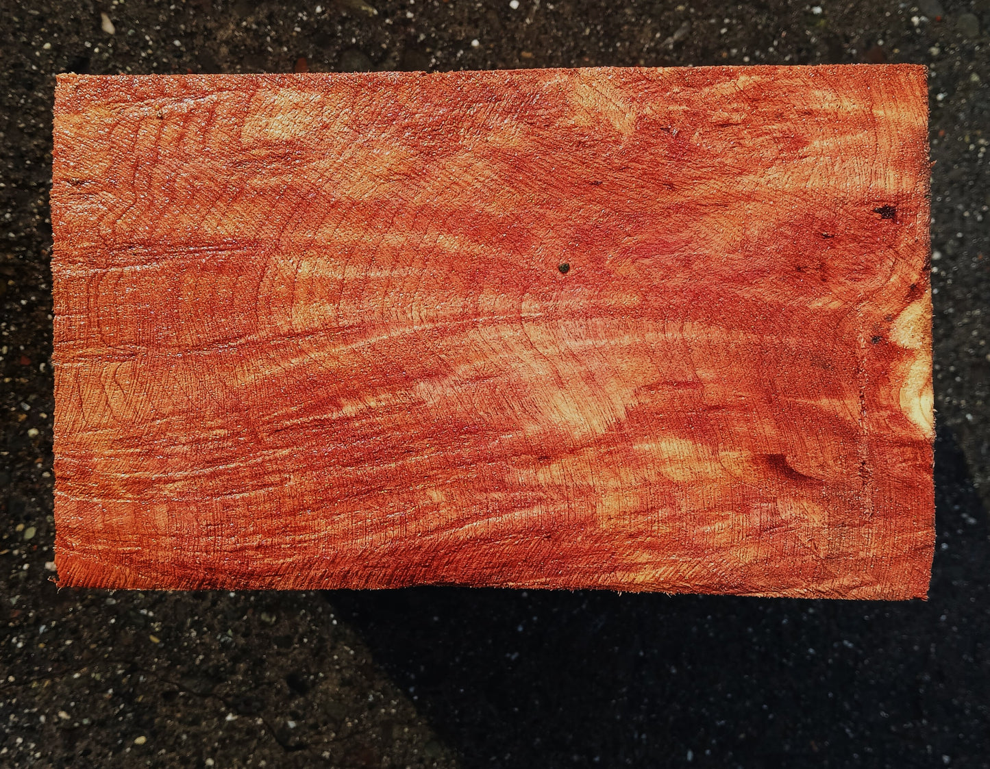 Redwood Lace Burl | Turning block | Craft Wood | R25-2078