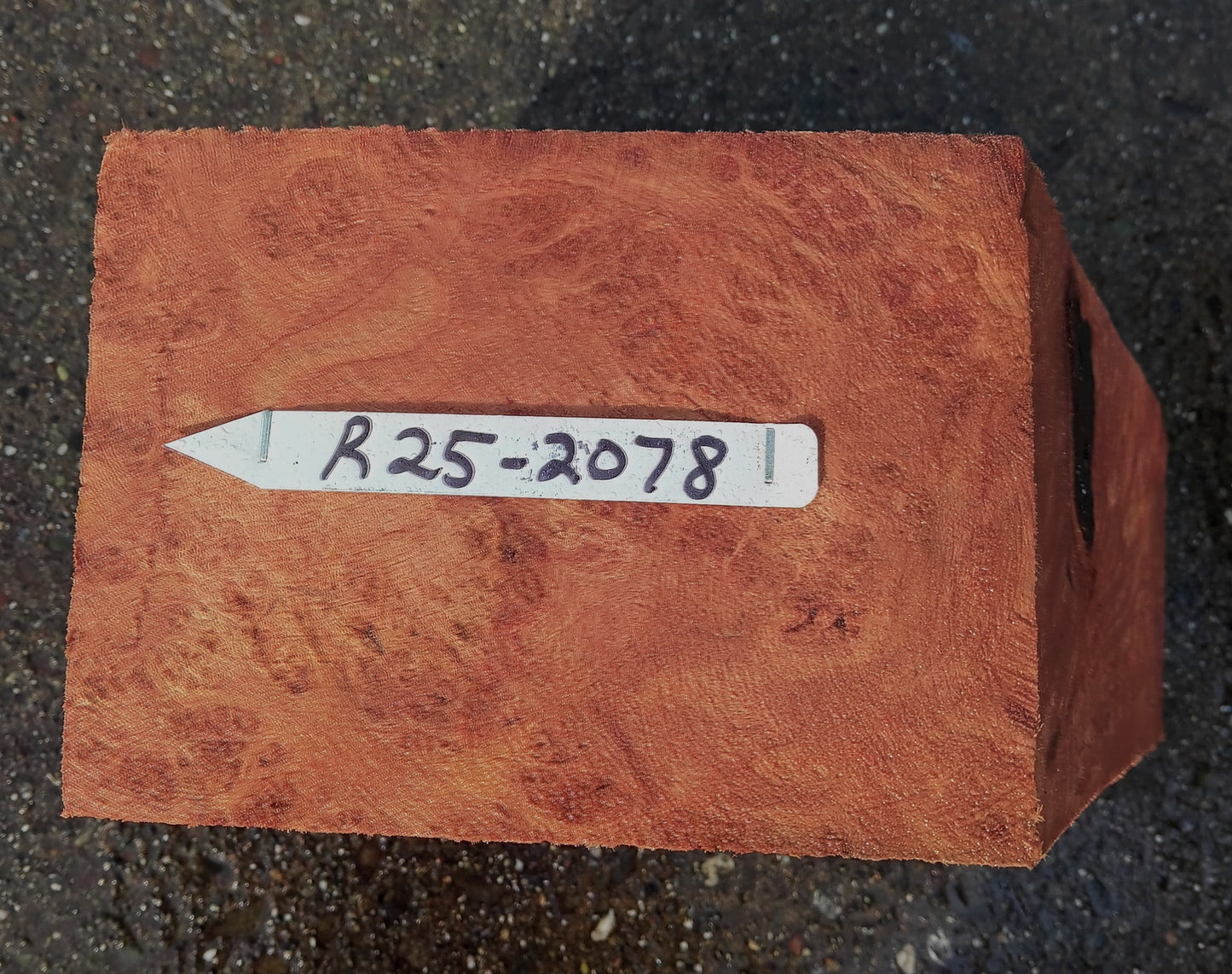 Redwood Lace Burl | Turning block | Craft Wood | R25-2078