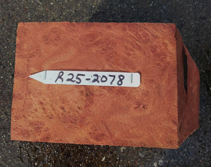 Redwood Lace Burl | Turning block | Craft Wood | R25-2078