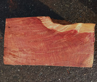 Redwood Lace Burl | Turning block | Craft Wood | R25-2080