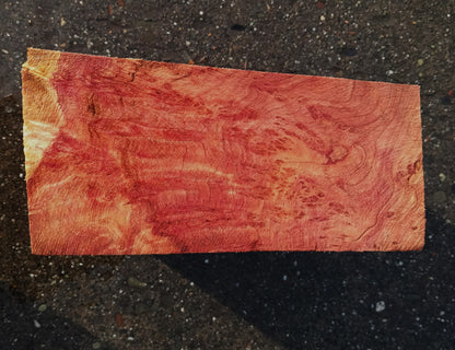 Redwood Lace Burl | Turning block | Craft Wood | R25-2080