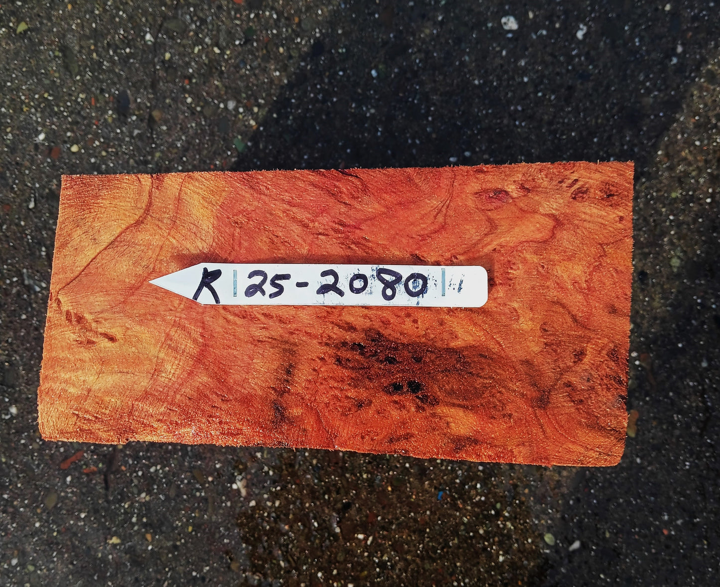 Redwood Lace Burl | Turning block | Craft Wood | R25-2080