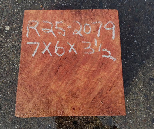 Redwood Lace Burl | Turning block | Craft Wood | R25-2079