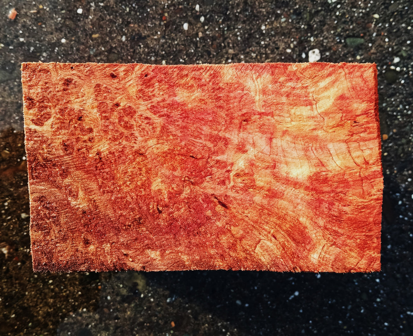 Redwood Lace Burl | Turning block | Craft Wood | R25-2079