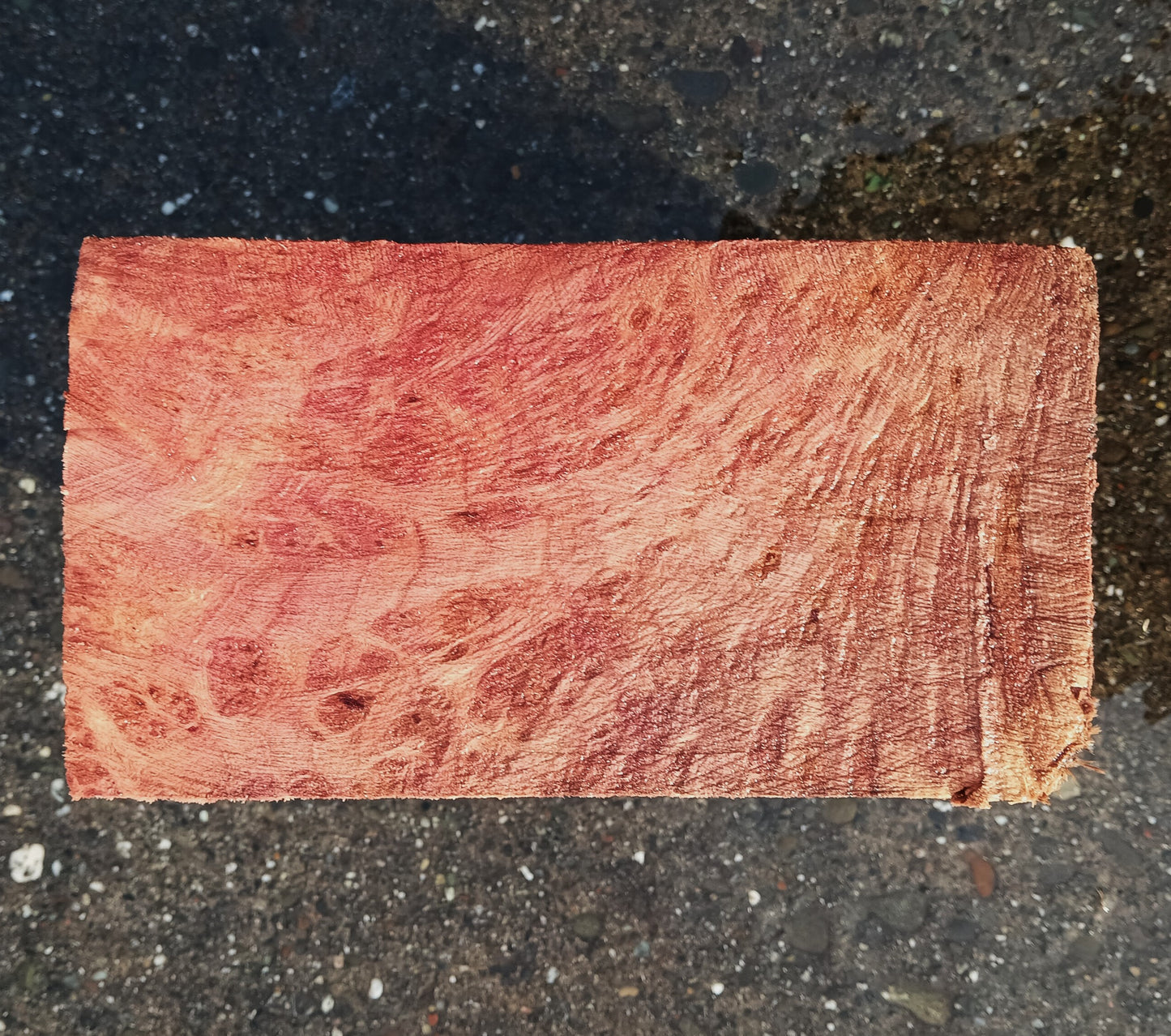 Redwood Lace Burl | Turning block | Craft Wood | R25-2079