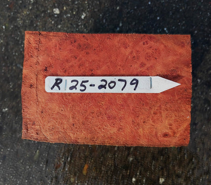 Redwood Lace Burl | Turning block | Craft Wood | R25-2079