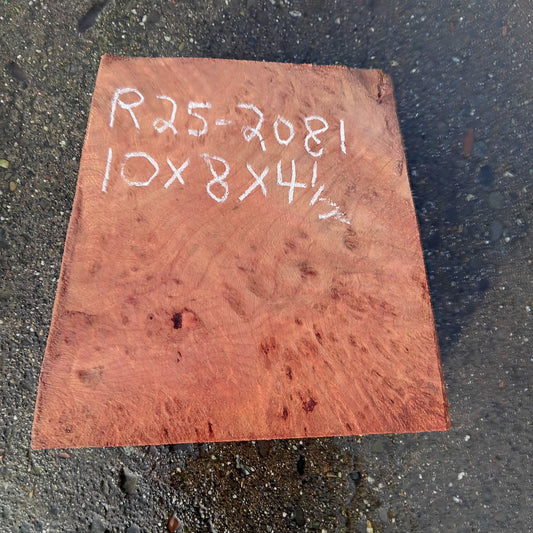 Redwood Lace Burl | Turning block | Craft Wood | R25-2081