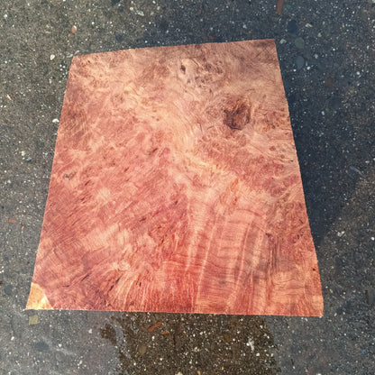 Redwood Lace Burl | Turning block | Craft Wood | R25-2081