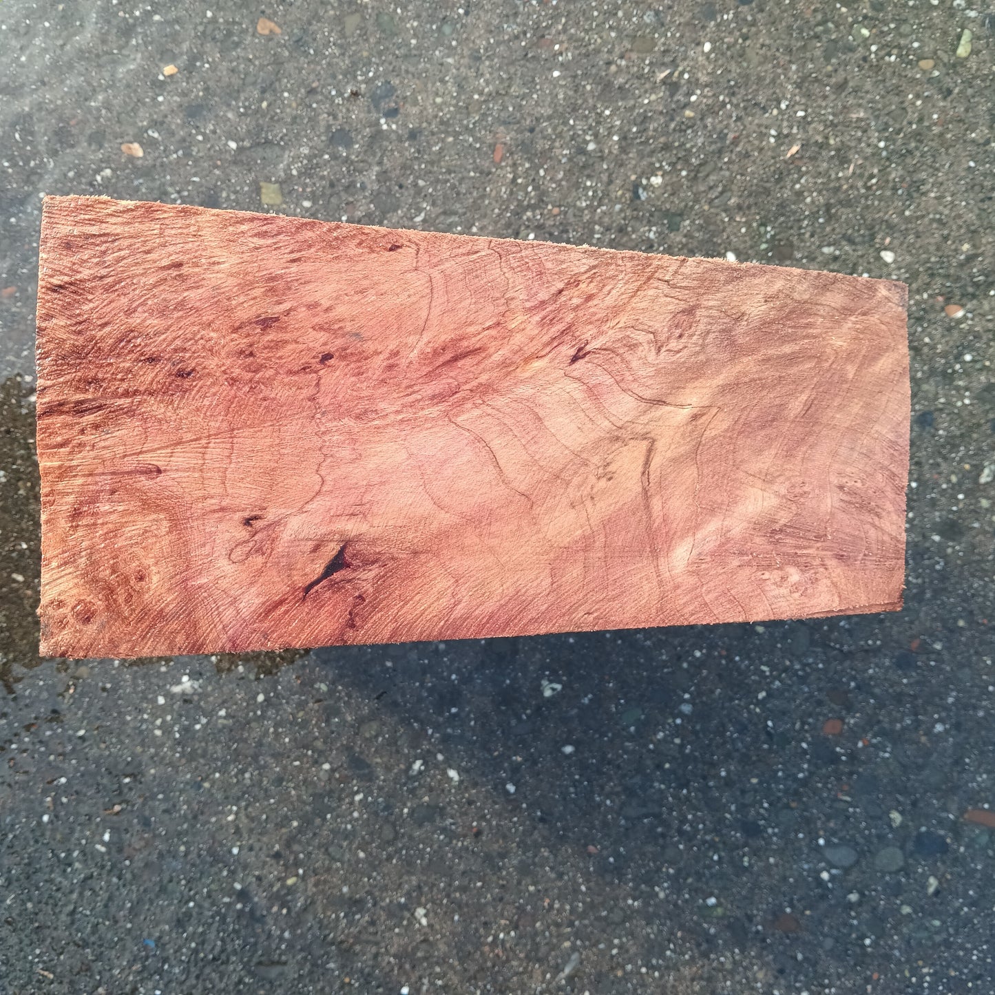 Redwood Lace Burl | Turning block | Craft Wood | R25-2081