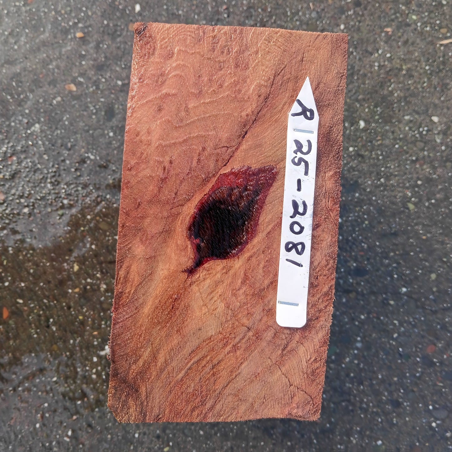 Redwood Lace Burl | Turning block | Craft Wood | R25-2081