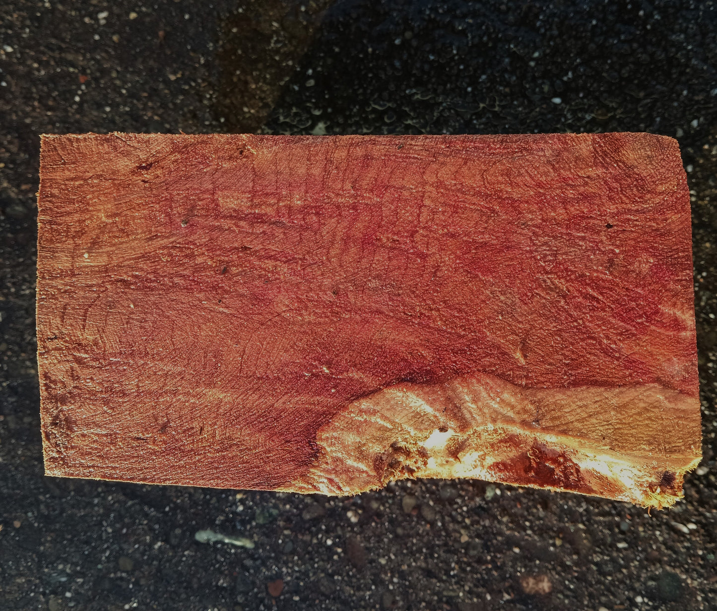 Redwood Lace Burl | bowl turning | Turning block | Craft Wood | R25-2096