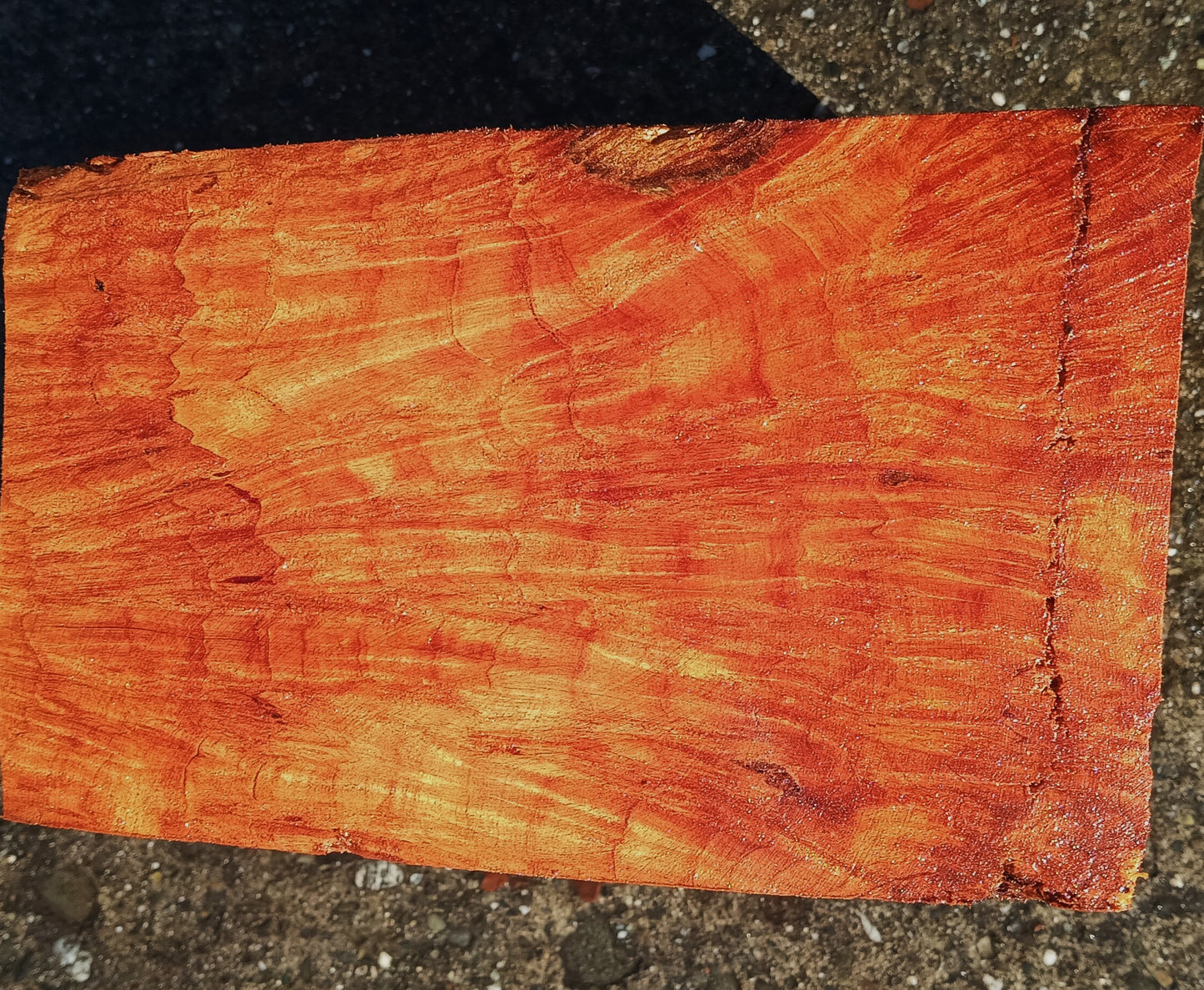 Redwood Lace Burl | Turning Block | Craft Wood | R25-2122