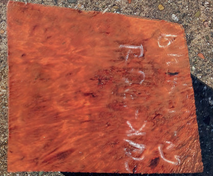 Redwood Lace Burl | Turning Block | Craft Wood | R25-2122